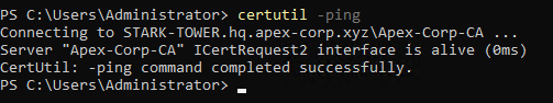 certutil -ping output showing Server ICMP Response is active