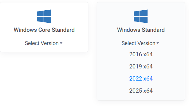 Vultr OS selection showing Windows Server 2022 Standard selected